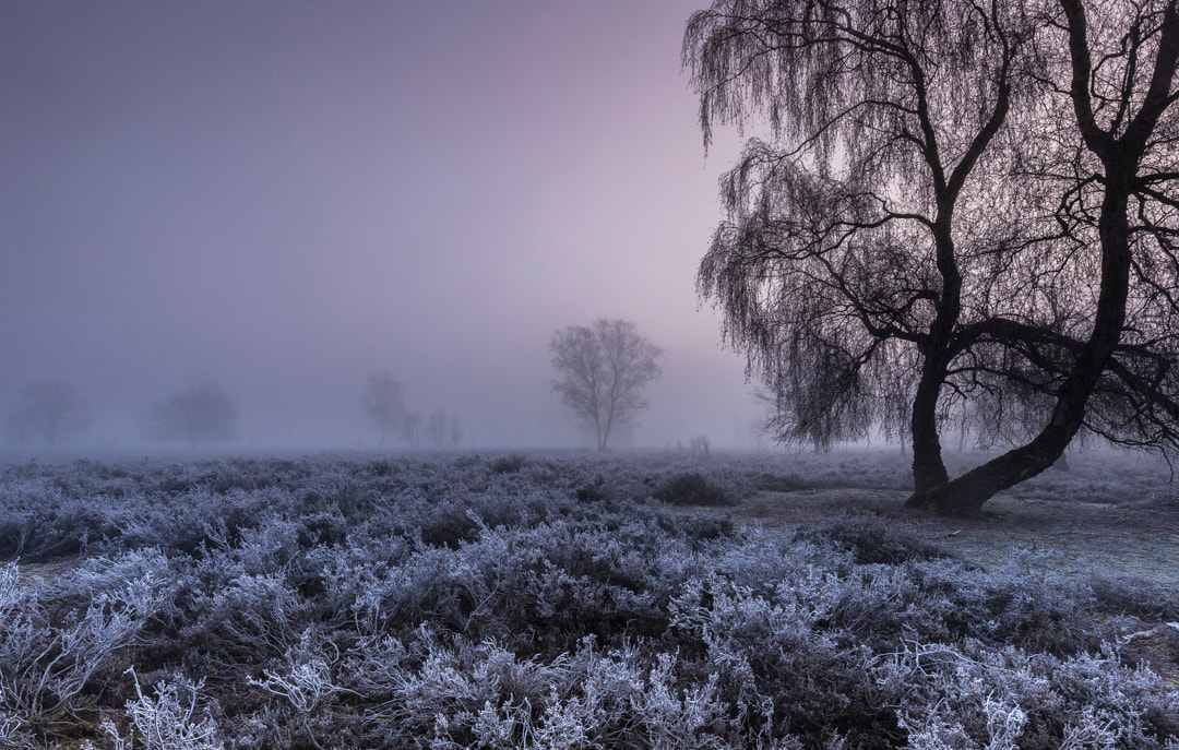 Winter-landschap-natuur-fotografie-workshop-limburg-venlo-maasduinen-Travelmarks-Photography-9