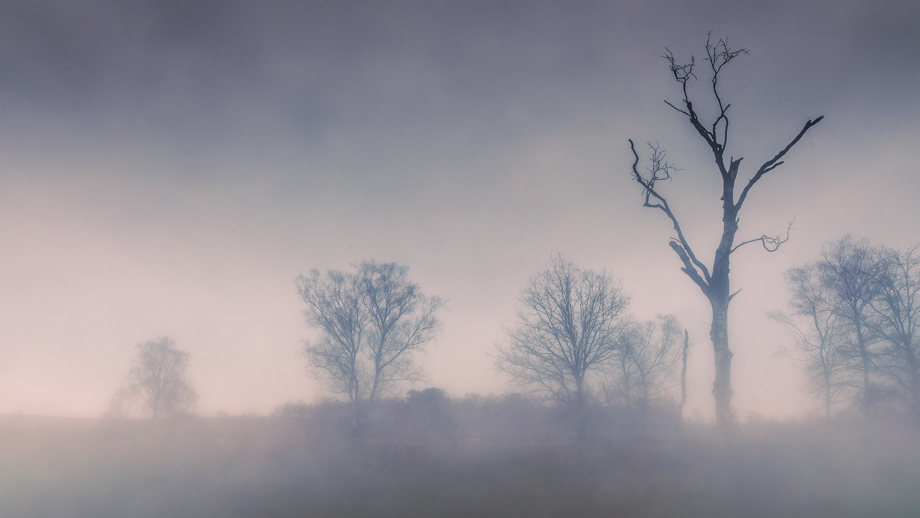 limburg-travelmarks-photography-workshop-fotografie-weekend-landschap-compositie-maasduinen-natuur-2