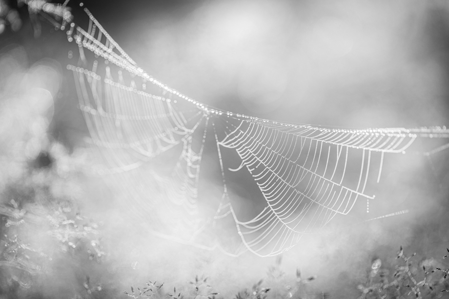 travelmarks-photography-fotografie-dag-workshop-high-low-key-macro-landschap-5