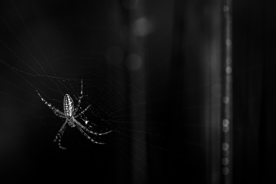 travelmarks-photography-fotografie-dag-workshop-high-low-key-macro-landschap-8