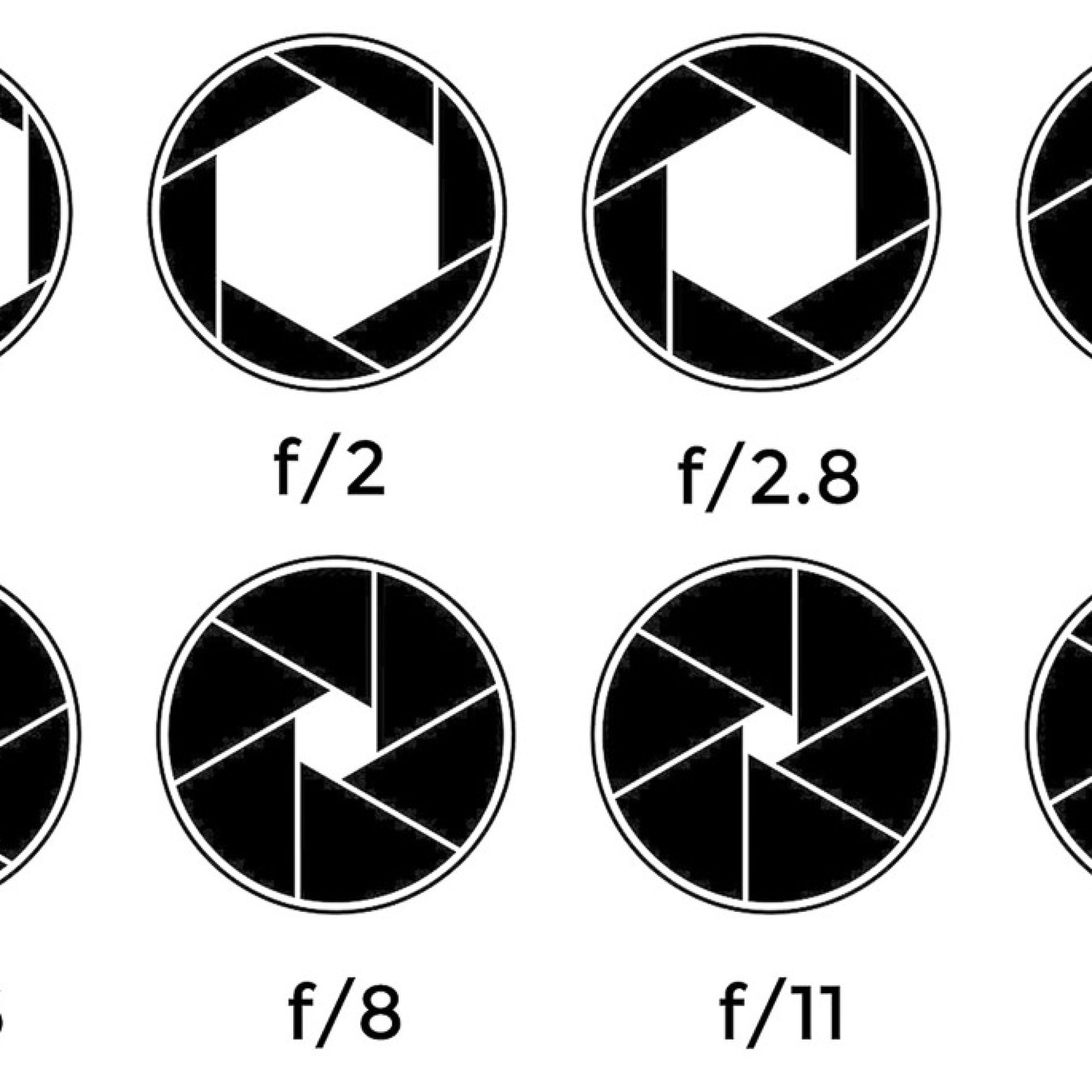 Diafragma-1