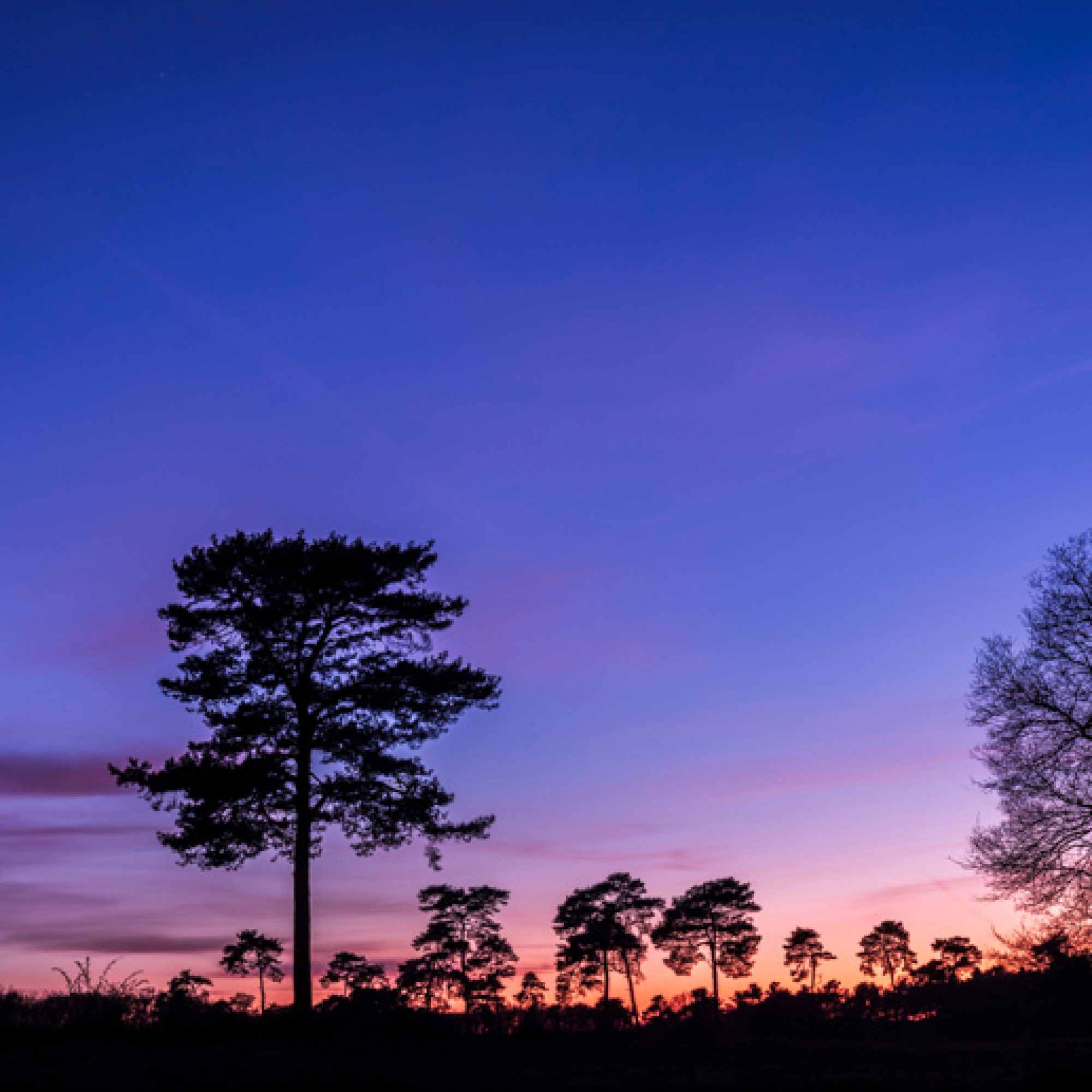 afferden-maasduinen-heide-sunset-nightscape-fotografie-workshop-filters-HY-travelmarks-photography-20