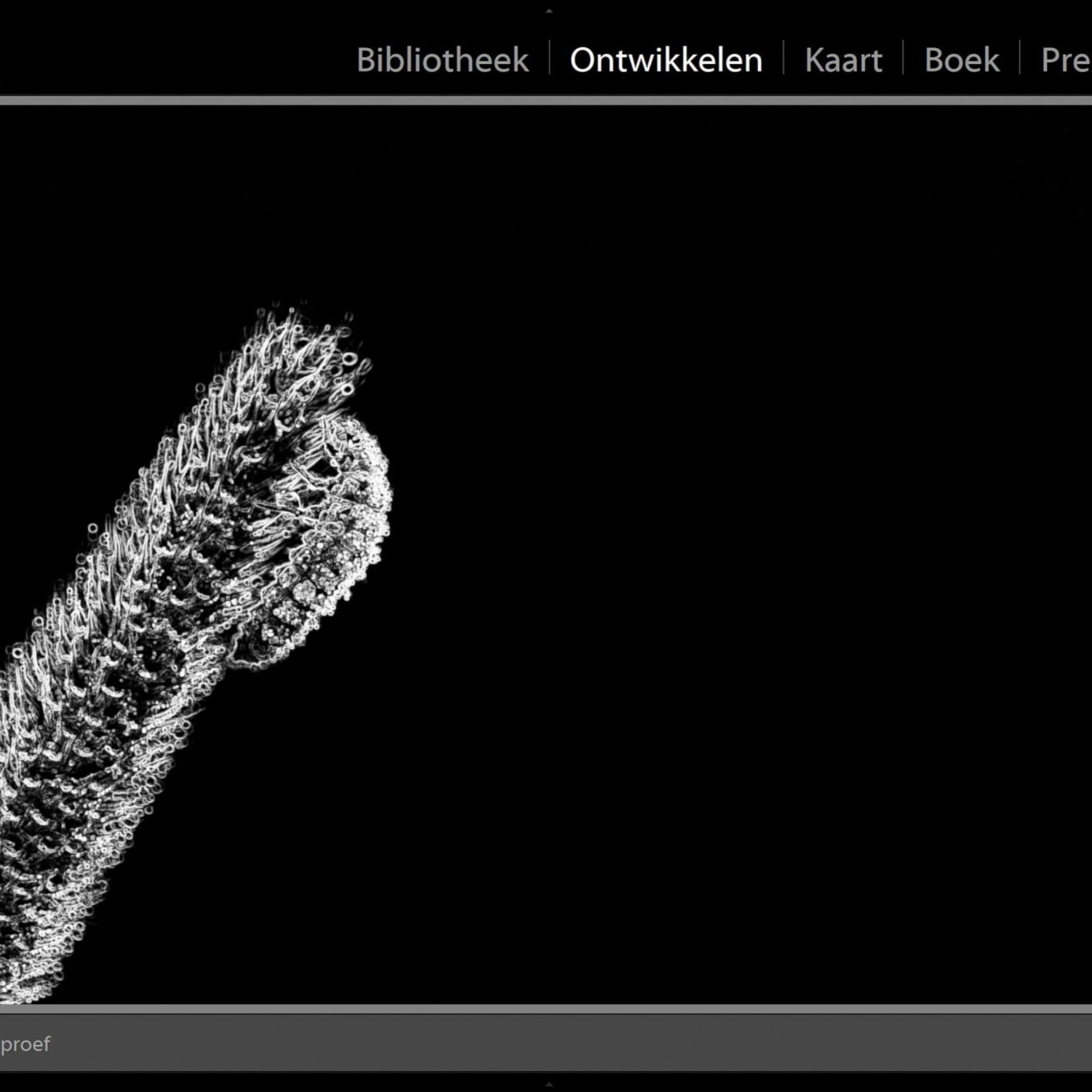 fotografie-workshop-lightroom-nabewerking-adobe-4