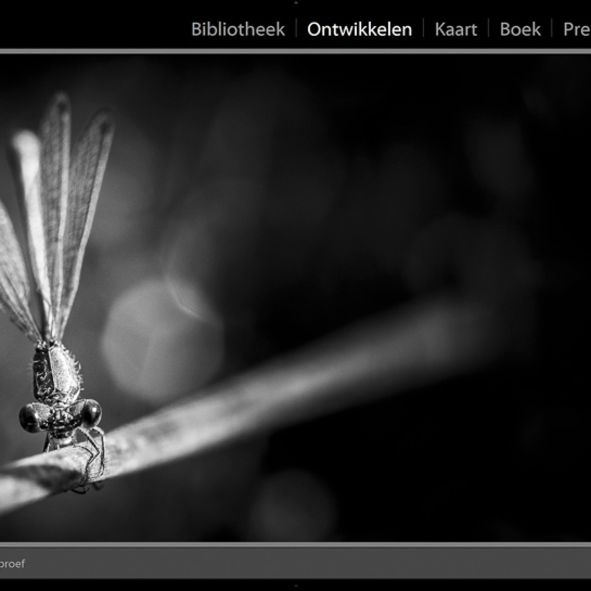 fotografie-workshop-lightroom-nabewerking-adobe-6