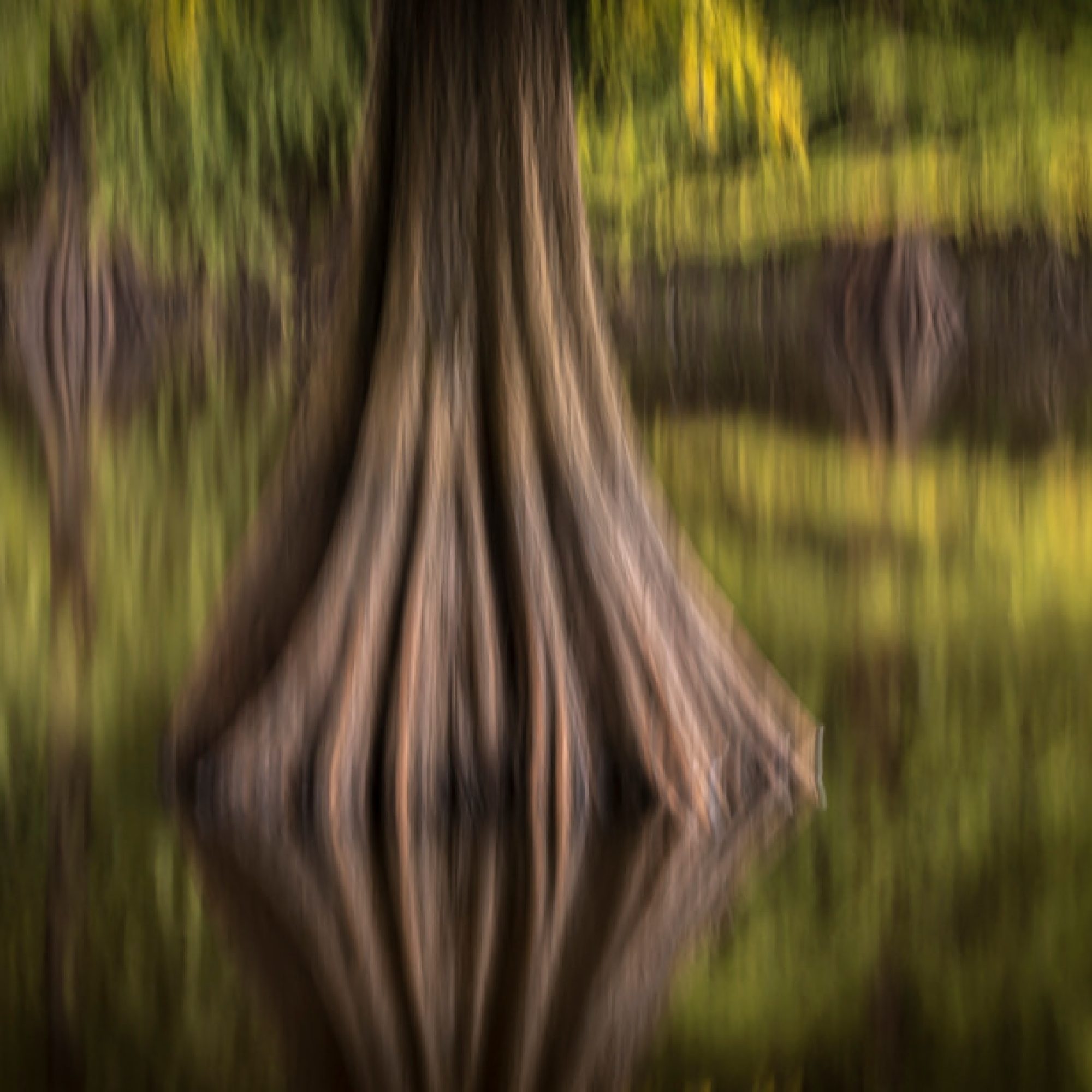 fotografie-workshop-travelmarks-photography-macro-wildlife-nederland-eekhoorn-waterjuffer-libelle-maasduinen-wandelbos-56