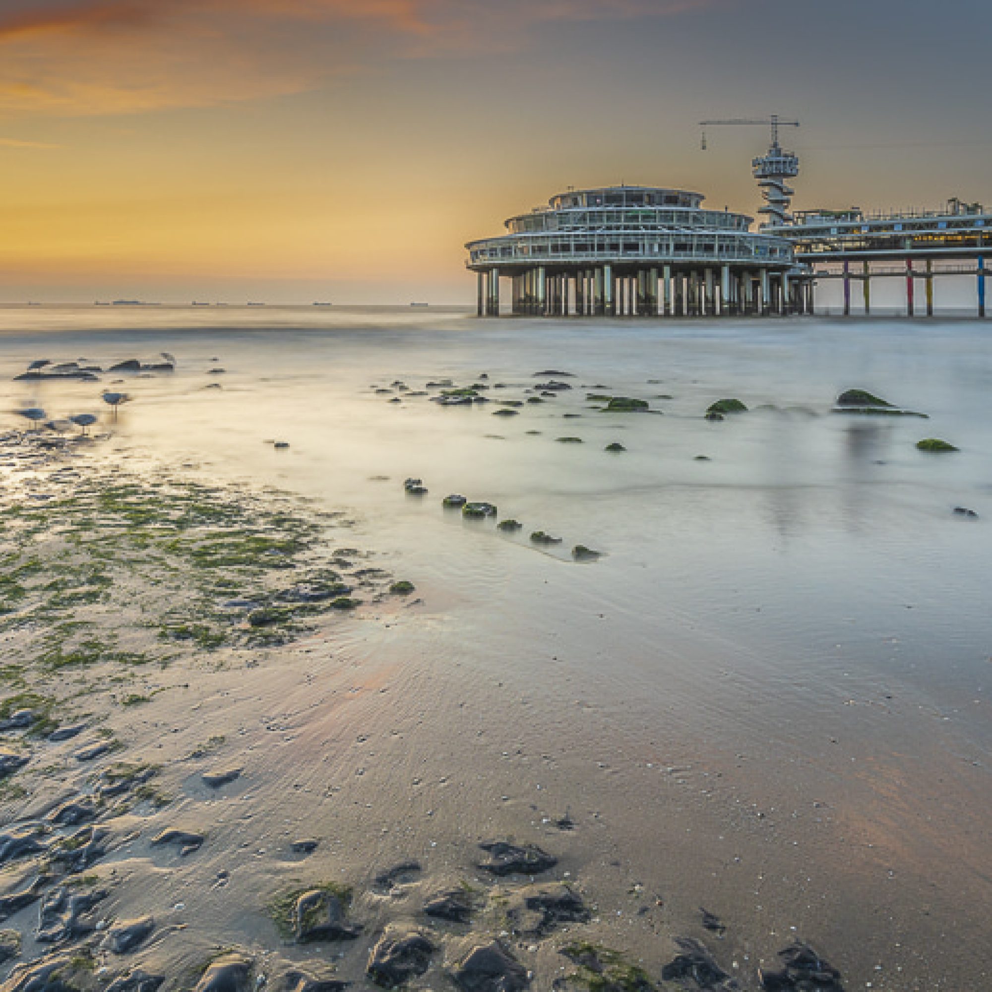 fotografiereis-fotoworkshop-cursus-natuur-landschap-macro-avondfotografie-filters-travelmarks-photography-maasduinen-paddenstoelen-scheveningen-de-pier-2