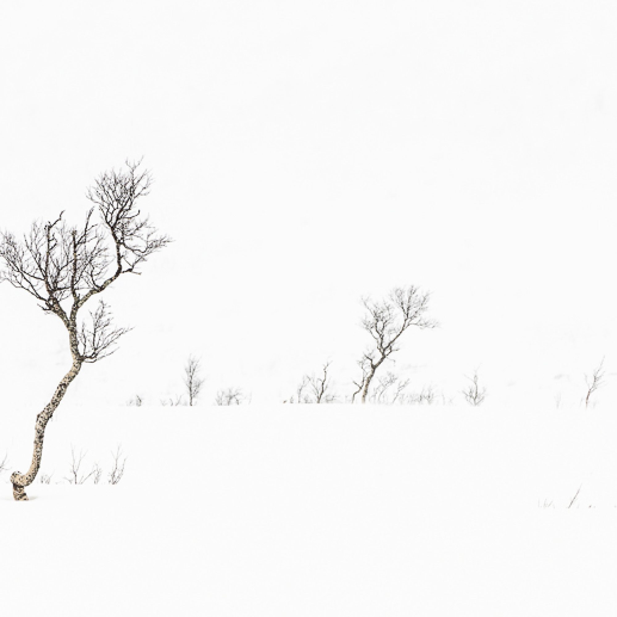 fotografiereis-senja-noorwegen-winter-noorderlicht-travelmarks-photography-bergen-noorse-huisjes-devils-jaw-ongerepte-natuur-hidden-gem-18