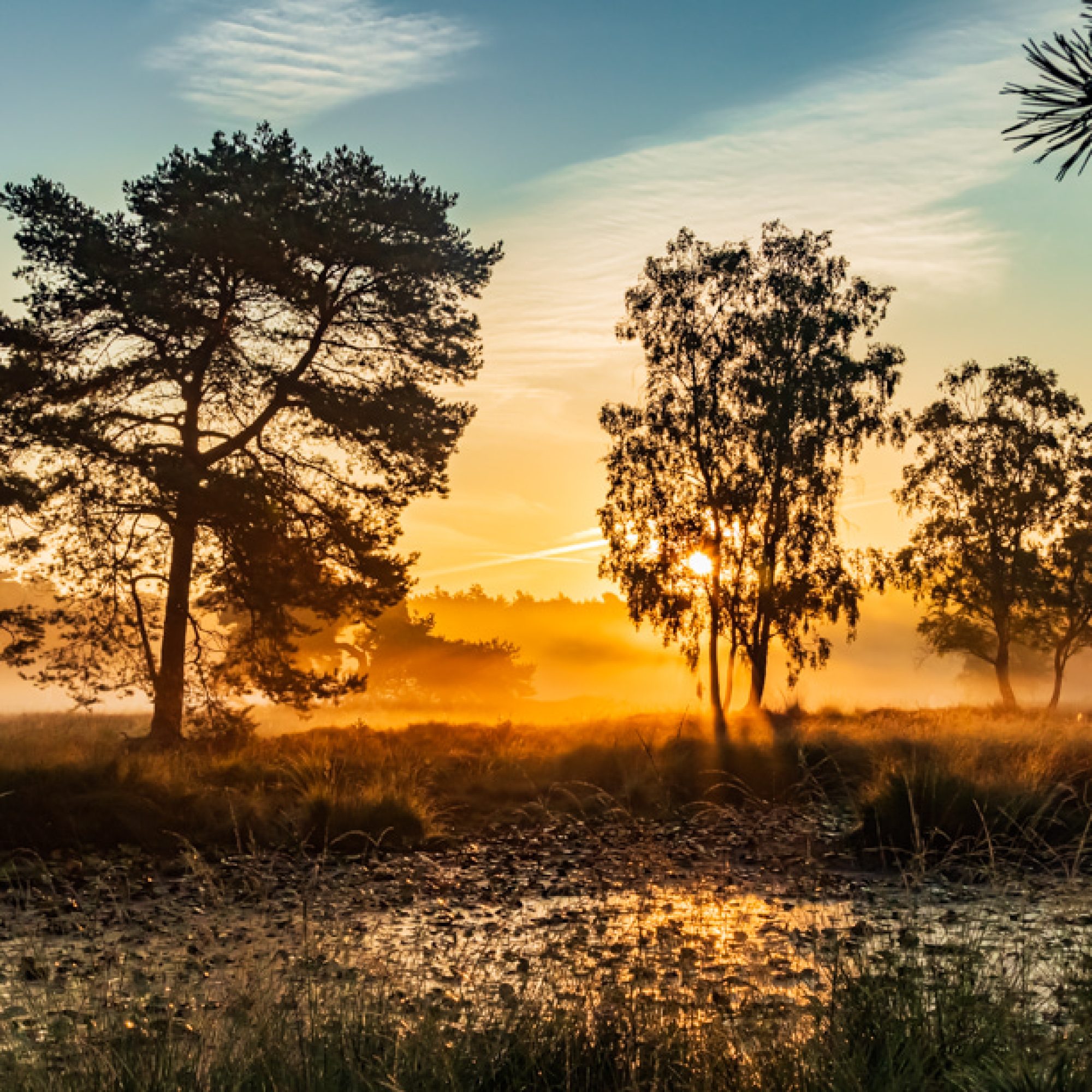fotografieworkshops-natuur-landschap-fotografie-maasduinen-limburg-1