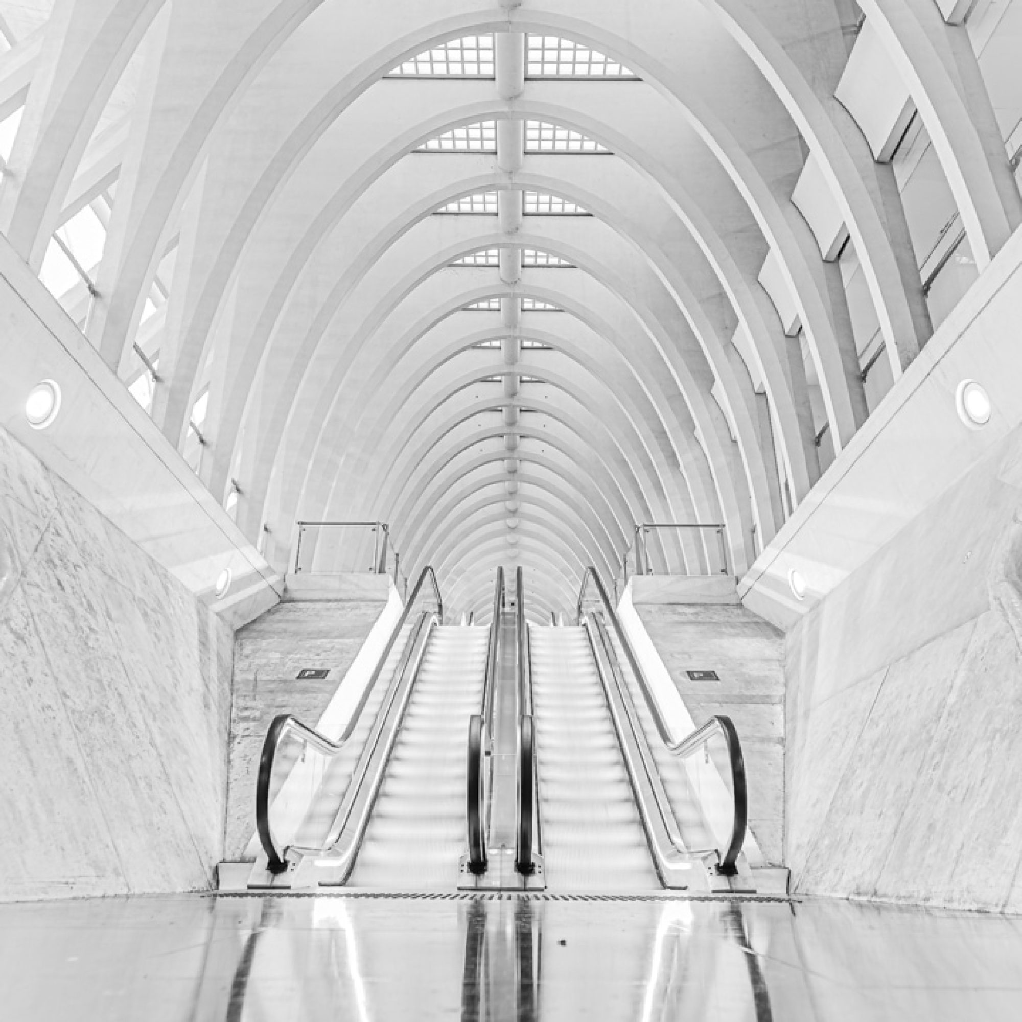 guillemins-station-luik-architectuur-lijnenspel-fotografie-workshop-travelmarks-photography-belgie-5