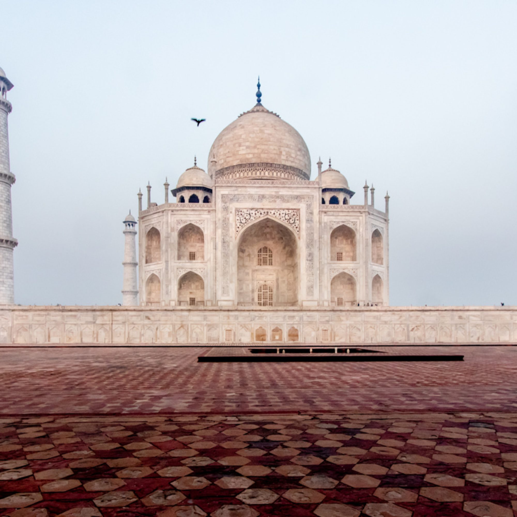 muurdecoratie-travelmarks-photography-reizen-india-taj-mahal-3