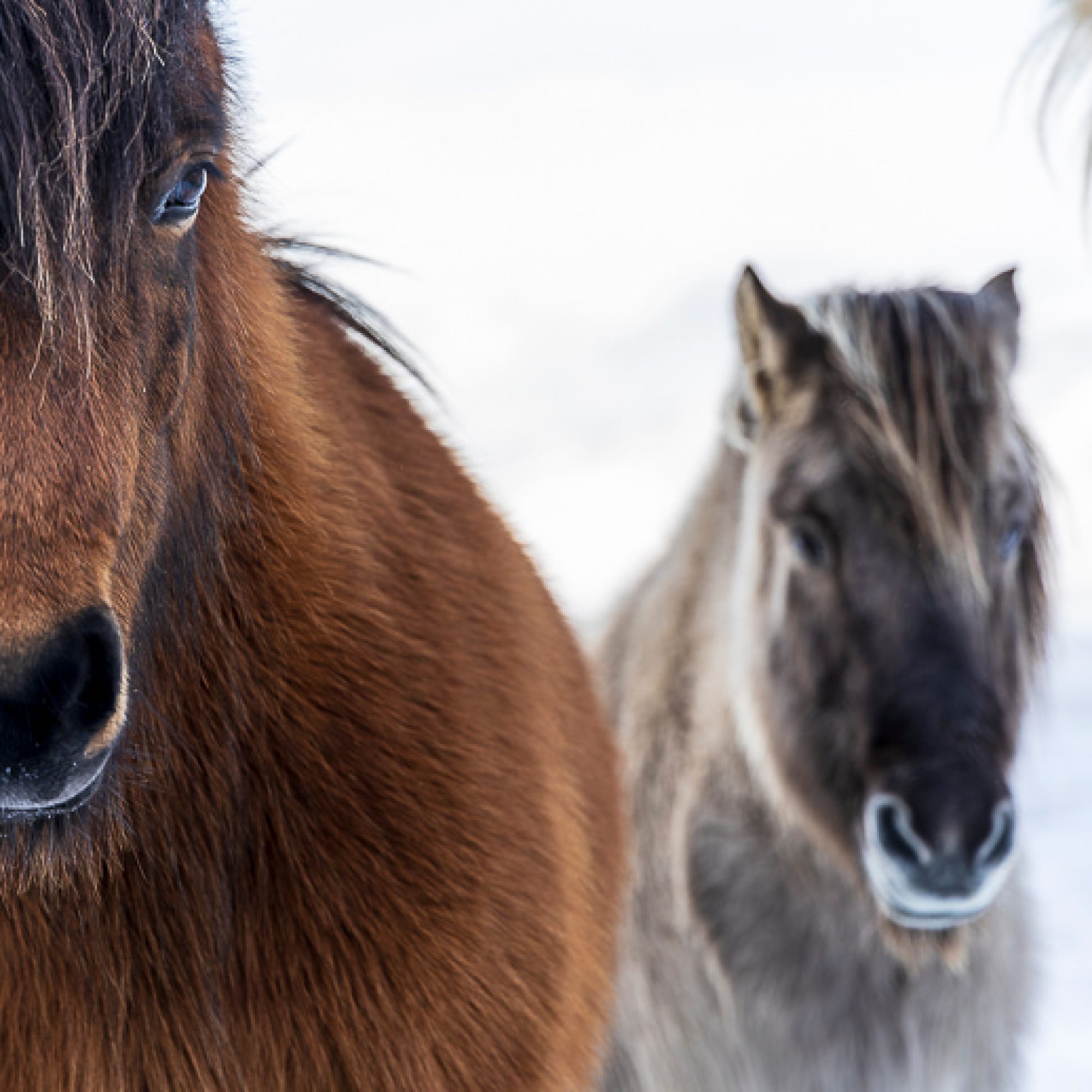 travelmarks-photography-fotografie-reis-landschap-natuur-masterclass-academy-ijsland-noorderlicht-gletsjer-kirkjufjell-17